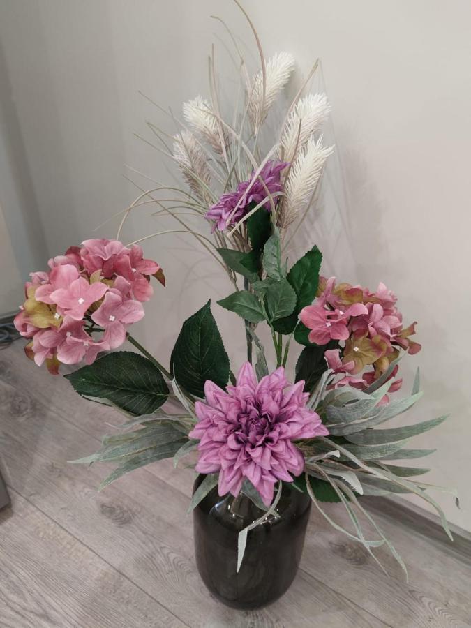 Flowers Apartment Добрич Екстер'єр фото